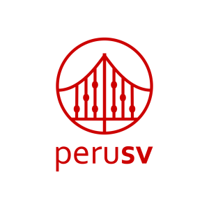 Peruanos Profesionales de Tecnología en Silicon Valley - Perú SV